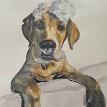 Mein Abschlussprojekt für den Kurs: Ausdrucksstarke Tierporträts in Aquarell. Traditional illustration, Watercolor Painting, Naturalistic Illustration, and Realistic Drawing project by Damaris Daehne - 01.04.2024