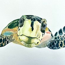 My project for course: Expressive Animal Portraits in Watercolor. Traditional illustration, Watercolor Painting, Realistic Drawing, and Naturalistic Illustration project by olgadottei - 06.14.2023
