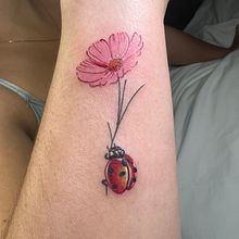 Ladybug . Un projet de Conception de tatouage de aloapineda04 - 06.01.2024