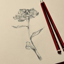 My project for course: Contemporary Botanical Illustration with Ink. Un proyecto de Ilustración tradicional, Dibujo artístico, Ilustración botánica e Ilustración con tinta de Wendy Violet Sinden - 06.01.2024