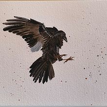 Mon projet du cours : Aquarelles naturalistes expressives avec du caractère. Un proyecto de Ilustración tradicional, Pintura a la acuarela e Ilustración naturalista				 de aurelie.maneru - 04.01.2023