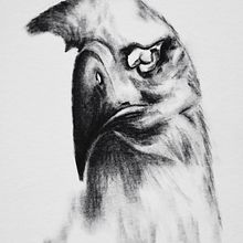 Dibujo al carboncillo. Drawing, and Fine Arts project by Yolanda Lss - 07.31.2023