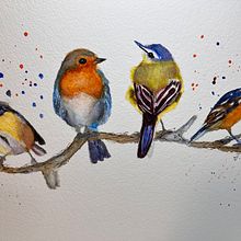 Mein Abschlussprojekt für den Kurs: Illustriere Vögel mit expressiven Aquarelltechniken. Watercolor Painting, Traditional illustration, Realistic Drawing, and Naturalistic Illustration project by j_osterkamp1 - 01.06.2024