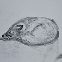 Course Projects: Expressive Drawing with Charcoal. Fine Arts, Drawing, Portrait Drawing, and Naturalistic Illustration project by jpbd - 01.07.2024