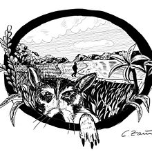 Mein Abschlussprojekt für den Kurs: Illustration mit Füller und Tinte: Natur zeichnen Ein Projekt aus dem Bereich Skizzenentwurf, Zeichnung, Artistische Zeichnung, Sketchbook, Illustration mit Tinte und Naturalistische Illustration von Carola Zain - 07.01.2024
