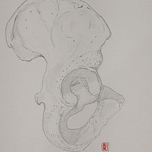 Meu projeto do curso: Desenho anatômico com lápis grafite para iniciantes. Fine Arts, Pencil Drawing, Drawing, Realistic Drawing, and Figure Drawing project by Luiz Takase - 01.07.2024