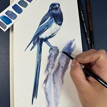 My project for course: Watercolor Illustration: Painting Realistic Wildlife. Projekt z dziedziny  Sztuki piękne,  Malarstwo, Malowanie akwarelą, Ilustracja naturalist i czna użytkownika Natalia Pulido - 06.01.2024