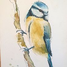 Mijn project van de cursus: Vogels illustreren met artistieke aquarel. Traditional illustration, Watercolor Painting, Realistic Drawing, and Naturalistic Illustration project by Anneke Strootman - 01.09.2024