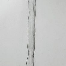 Meu projeto do curso: Desenho anatômico com lápis grafite para iniciantes. Un proyecto de Bellas Artes, Dibujo a lápiz, Dibujo, Dibujo realista y Dibujo anatómico de Juliano Froder - 07.01.2024