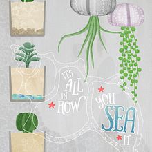 Ocean Terrariums Poster. Un proyecto de Ilustración tradicional, Ilustración botánica, Ilustración digital, Diseño de carteles, Pintura a la acuarela y Diseño de papelería				 de Britta Nagy - 15.01.2015