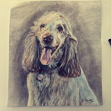 Colour pencil drawing . Traditional illustration project by Brett Howard - 12.10.2023