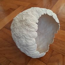 My project for course: Paper pulp objects. Arts, Crafts, Product Design, Paper Craft, Decoration, Ceramics, DIY, Upc, and cling project by raluca_davidel - 01.10.2024