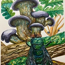 My project for course: Naturalistic Illustration in Watercolor and Gouache. Un progetto di Belle arti, Pittura, Pittura ad acquerello, Illustrazione botanica, Illustrazione naturalistica e Pittura gouache di Sabrina Albert - 11.01.2024