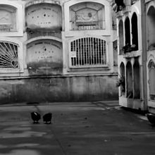 Mi proyecto del curso: El arte de la realización y edición de documentales. Un projet de Cinéma, vidéo et télévision, Vidéo , et Réalisation de Mario Yupanqui - 11.01.2024