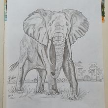 Mein Abschlussprojekt für den Kurs: Realistische Tierporträts mit Bleistift. Een project van Traditionele illustratie, Tekening met potlood,  Tekening y Naturalistische illustratie van Kai Möller - 12.01.2024