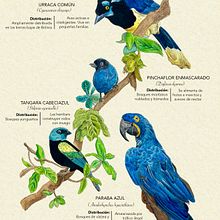 Mi proyecto del curso: llustración naturalista aplicada a colecciones. Projekt z dziedziny Trad, c, jna ilustracja,  Malarstwo, Ilustracja c, frowa, Malowanie akwarelą, R, sunek botaniczn,  R, sunek atramentem, Ilustracja naturalist i czna użytkownika Alejandra Domic - 13.01.2024