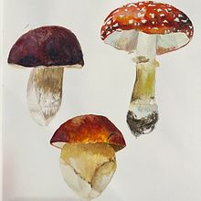My project for course: Botanical Watercolor Sketchbook. Un progetto di Illustrazione tradizionale, Pittura ad acquerello, Illustrazione botanica e Sketchbook di Lin - 13.01.2024