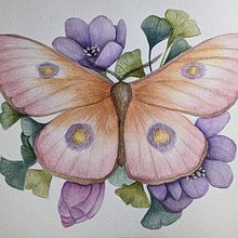My project for course: Naturalist Illustrations with Watercolors: Drawing and Composition . % estappaerts tarafından hazırlanan Geleneksel illüstras, on, Çizim, Sulubo, a Resim, Doğalcı İllüstras, Ve on projesi - 01.12.2024