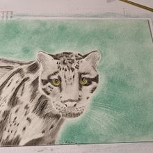 Mein Abschlussprojekt für den Kurs: Realistische Tierbilder in Graphitstift. Un projet de Beaux Arts, Dessin au cra, on, Dessin, Dessin réaliste et Illustration naturaliste de sabrina_dragons - 14.01.2024