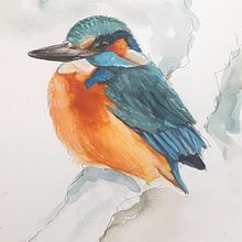 IJsvogel. Traditional illustration, and Fine Arts project by Anneke Strootman - 01.14.2024