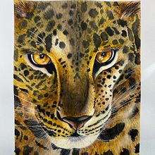 Jaguar. Painting project by Brigitte Fabi - 01.13.2024