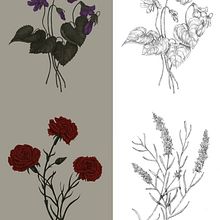 My project for course: Natural Illustration with Digital Painting. Traditional illustration, Drawing, Digital Illustration, Realistic Drawing, Digital Painting, and Naturalistic Illustration project by Ruxandra Tudorica - 01.14.2024