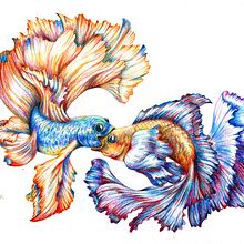 Mój projekt z kursu: Surrealistyczna ilustracja inspirowana naturą. Traditional illustration, Pencil Drawing, Drawing, Artistic Drawing, Naturalistic Illustration, and Colored Pencil Drawing project by Joanna Zakrzewska - 01.14.2024
