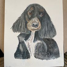 My project for course: Expressive Animal Portraits in Watercolor. Traditional illustration, Watercolor Painting, Realistic Drawing, and Naturalistic Illustration project by Grace O - 01.21.2024