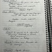 Mi proyecto del curso: Escritura de una novela paso a paso. Writing, Creativit, Stor, telling, Narrative, Fiction Writing, and Creative Writing project by jarelis00 - 01.15.2024