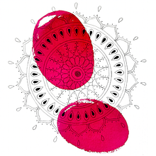 El arte de dibujar mandalas, una exploración creativa. Drawing & Ink Illustration project by nativainlab - 01.11.2024