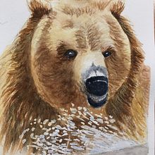 My project for course: Experimental Watercolor Techniques for Beginners. Traditional illustration, Watercolor Painting, and Naturalistic Illustration project by Jan Kent - 01.17.2024