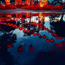 My project for course: Color Theory in Photography. Photograph, Photo Retouching, Digital Photograph, Photographic Composition, and Color Theor project by Chu Seng Brandon Lee - 01.14.2024