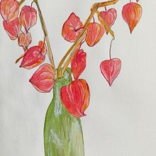 Mój projekt z kursu: Szkicownik botaniczny: ilustracja jako sztuka medytacji Ein Projekt aus dem Bereich Traditionelle Illustration, Skizzenentwurf, Zeichnung, Aquarellmalerei, Botanische Illustration und Sketchbook von aglena0201 - 17.01.2024