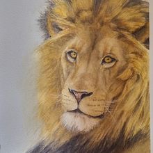 My project for course: Expressive Animal Portraits in Watercolor. Ilustração tradicional, Pintura em aquarela, Desenho realista e Ilustração naturalista projeto de Michelle Esterhuizen - 10.01.2024