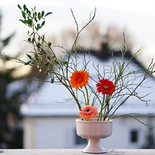 My land burns red ❤️‍🔥, Ikebana: arreglos florales para principiantes. Interior Design, Decoration, Interior Decoration, Floral, and Plant Design project by Sara Mayoral - 01.17.2024