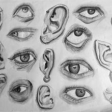 DA- Anatomia orelles i ulls. Pencil Drawing, Drawing, Realistic Drawing, Artistic Drawing, and Figure Drawing project by yaiza alcalá mateo - 01.17.2024