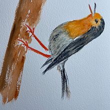 Mój projekt z kursu: Akwarelowe obrazy przyrody wyraziste i z charakterem. Traditional illustration, Watercolor Painting, and Naturalistic Illustration project by Karo - 01.17.2024