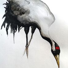 Wasserfarben Kranich. Un projet de Aquarelle de Kathi - 20.01.2024