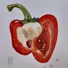 Mój projekt z kursu: Akwarela botaniczna: piękno sztuki i nauki. Projekt z dziedziny  Sztuki piękne, Malowanie akwarelą, R i sunek botaniczn użytkownika annaya - 20.01.2024