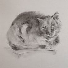 Mein Abschlussprojekt für den Kurs: Ausdrucksstarkes Zeichnen mit Holzkohle. Un proyecto de Bellas Artes, Dibujo, Dibujo de Retrato e Ilustración naturalista				 de Katrin Krammer - 21.01.2024