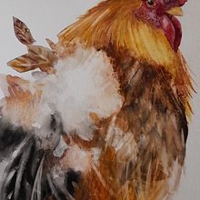 Mein Abschlussprojekt für den Kurs: Naturalistische Aquarelle mit Ausdruck und Charakter. Un proyecto de Ilustración tradicional, Pintura a la acuarela e Ilustración naturalista				 de Katrin Krammer - 21.01.2024