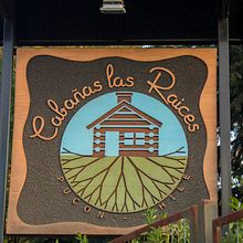 Cabañas Las Raíces, Pucón-Chile. . Marketing și Management și productivitate de Javier Maldonado Hernández - 02.24.2000