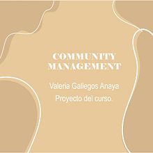 Community Management Instagram en Crecimiento. Design, Photograph, Graphic Design, Social Media, and Video Editing project by Valeria Gallegos - 01.22.2024