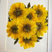 Mi proyecto del curso: Técnicas básicas de prensado botánico. Artesanato, Artes plásticas, Colagem, DIY, e Design floral e vegetal projeto de ana-sanchez-4 - 23.01.2024