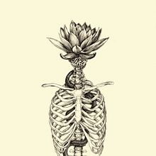 KUNDALINI FIGURATIVA. Traditional illustration, Fine Arts, Drawing, Realistic Drawing, Artistic Drawing, Tattoo Design, Figure Drawing, and Naturalistic Illustration project by Adán Aryas - 01.23.2024