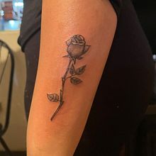Mi proyecto del curso: Tatuaje botánico con puntillismo. Traditional illustration, Tattoo Design, and Botanical Illustration project by Alicia Hernandez Ochoa - 01.13.2024