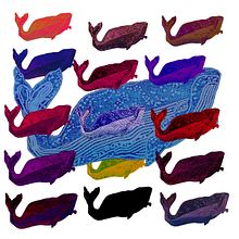Baleines Andy . Printing project by Anne P - 01.24.2024