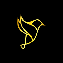 Freedom . UX / UI, IT, Web Design, Web Development, No-Code Development, and Digital Product Design project by Nouréddine Daël GOUEM - 10.31.2023
