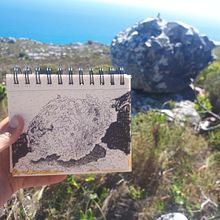 Stone Ancestors drawings. Un proyecto de Sketchbook, Dibujo, Ilustración con tinta e Ilustración botánica de Emma Minkley - 24.01.2024