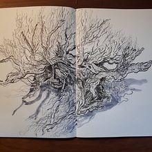 Sketchbook drawings. Un proyecto de Dibujo, Ilustración botánica, Ilustración con tinta y Sketchbook de Emma Minkley - 24.01.2024